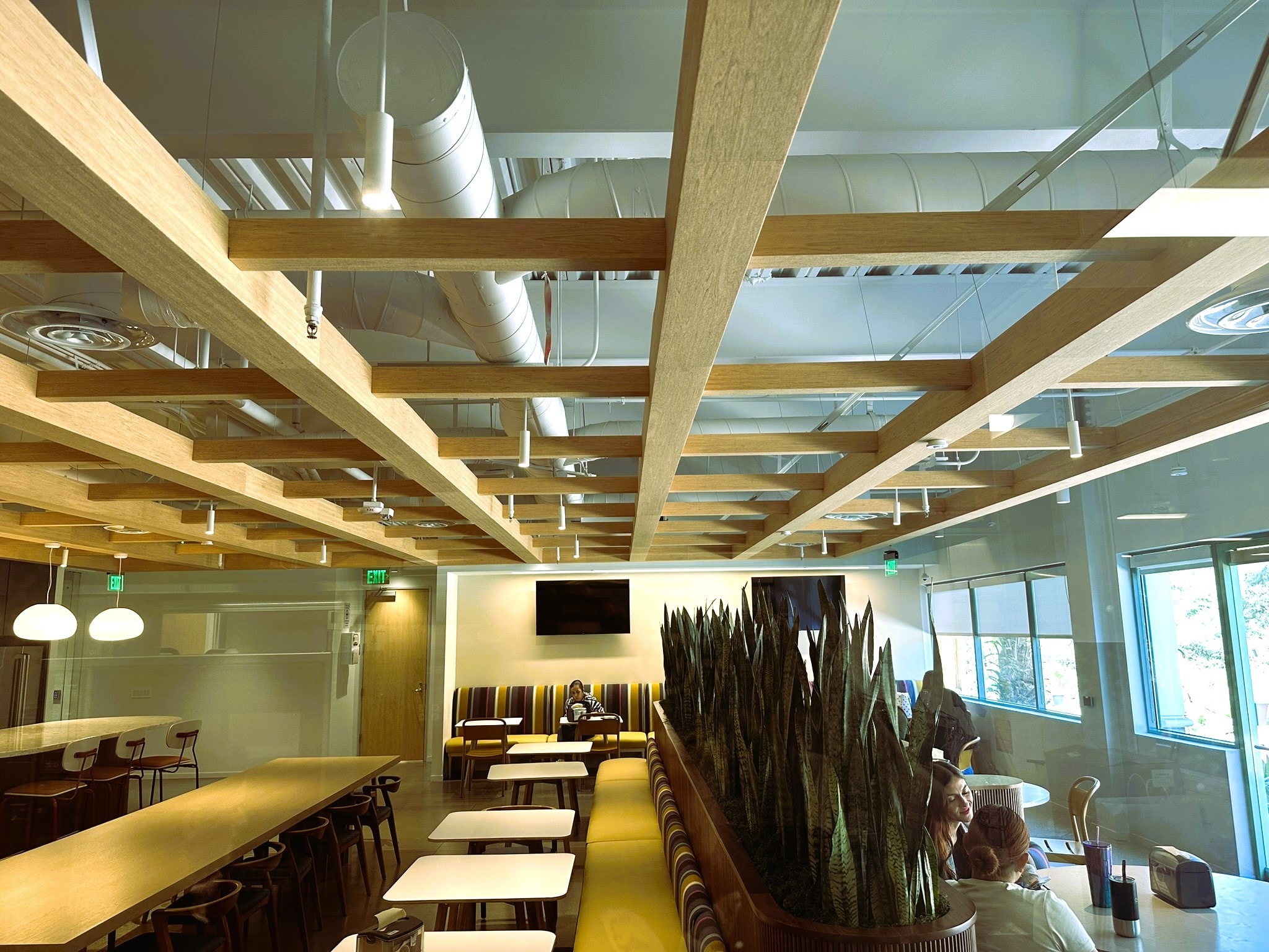 Vallarta HQ Valencia interior space with custom lighting installation